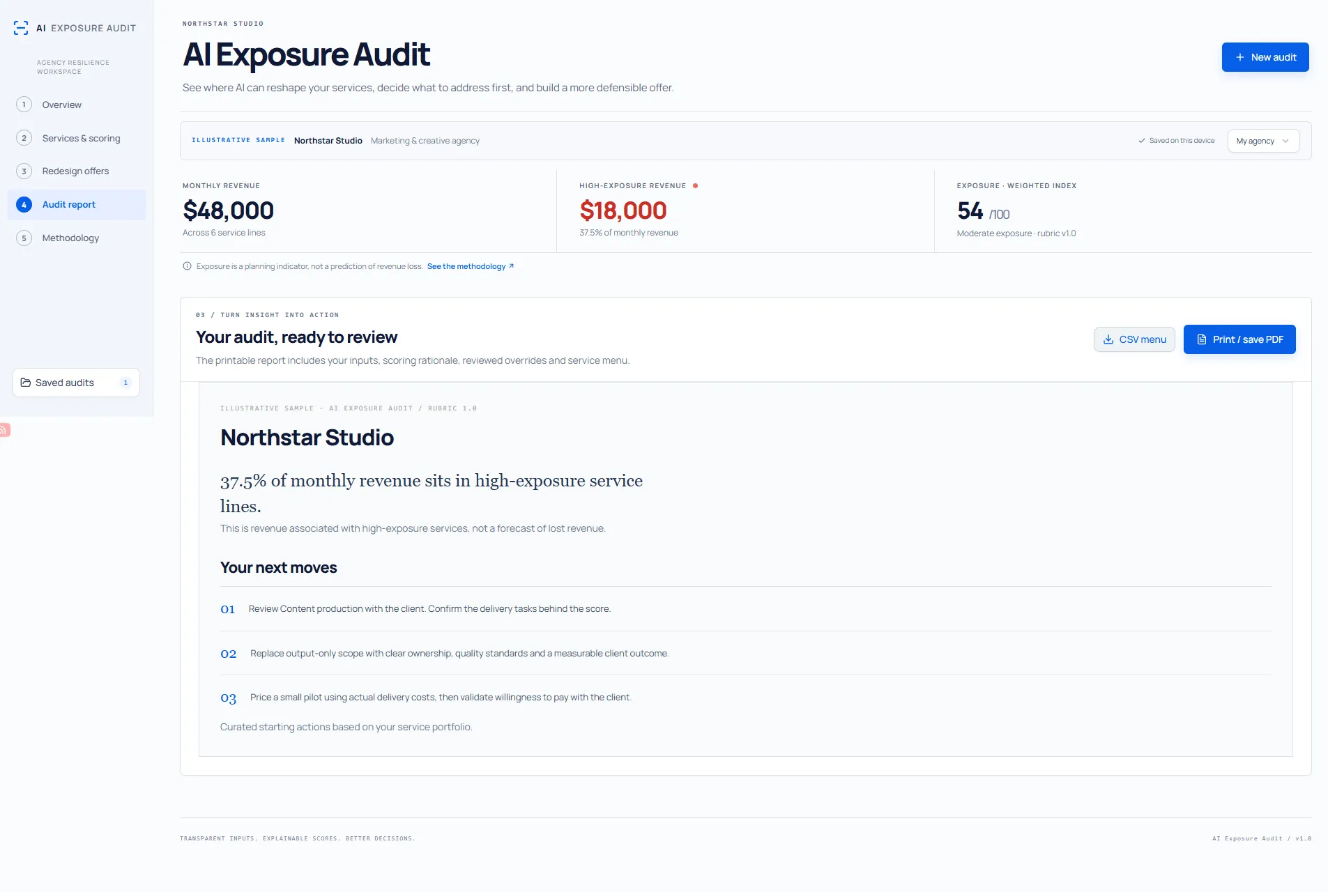 Illustrative printable audit report with service priorities and next moves